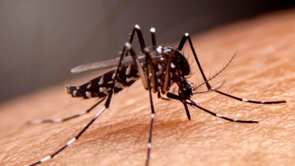 Rádio Educadora 90.3 FM » La ciudad de Vale do Itajay registra su primera muerte por dengue en 2024