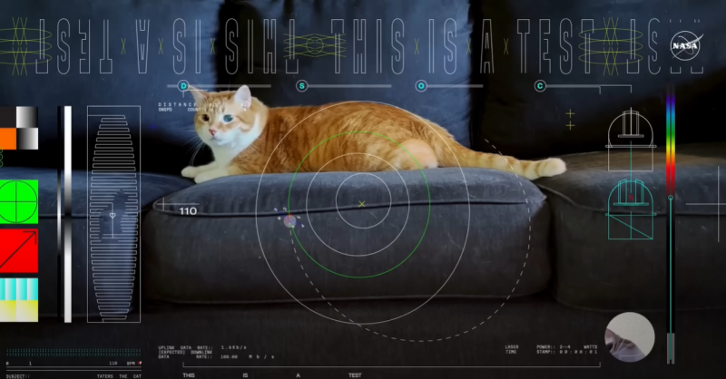 El vídeo de un gatito viaja 30 millones de kilómetros en el espacio;  entender » Rádio Educadora 90.3 FM